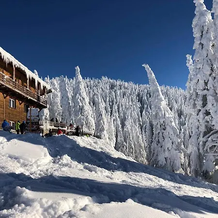 Vinyl's Place Брашов