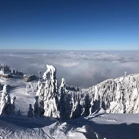 Vinyl's Place Ferienhaus *