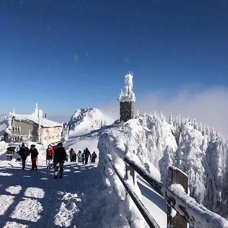 Ferienhaus Vinyl's Place