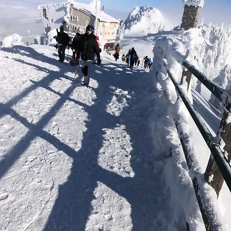 Vinyl's Place Ferienhaus