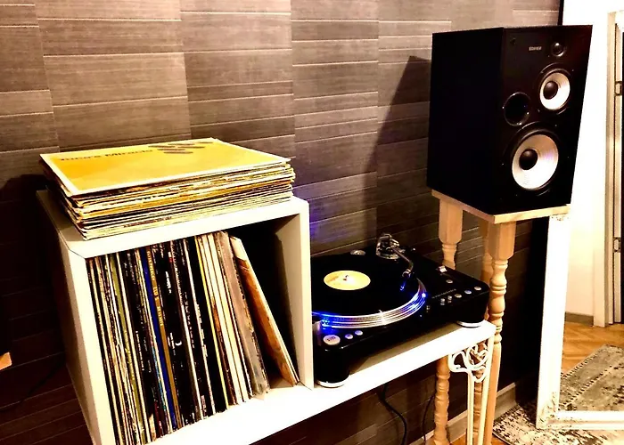 Vinyl's Place Holiday home *