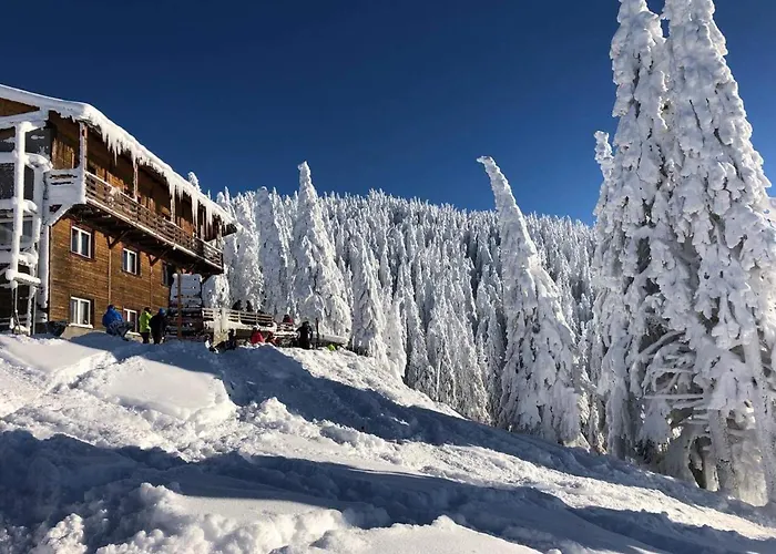 Vinyl's Place Brasov