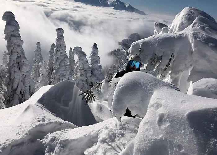 Holiday home Vinyl's Place Brasov