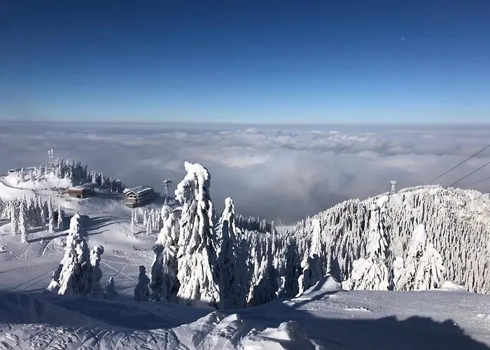 Vinyl's Place Holiday home *