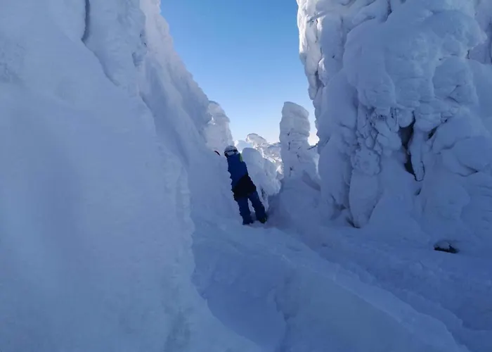 Holiday home Vinyl's Place Brasov