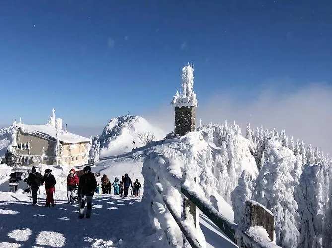 Holiday home Vinyl's Place